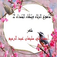 تحميل كتاب دموع الرثاء وبكاء الحداء 2 PDF أحمد علي سليمان عبد الرحيم مجانا