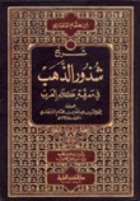 تحميل كتاب شرح شذور الذهب في معرفة كلام العرب PDF ابن هشام الأنصاري مجانا