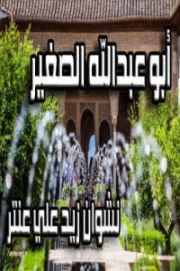 تحميل كتاب أبو عبدالله الصغير PDF نشوان زيد علي عنتر مجانا