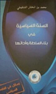 السنة السياسية في بناء السلطة وأدائها