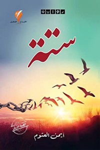 تحميل كتاب ستة PDF أيمن العتوم مجانا