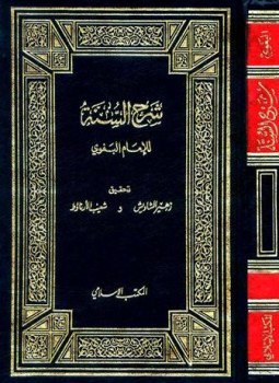 تحميل كتاب شرح السنة ت الأرناؤوط PDF مجانا