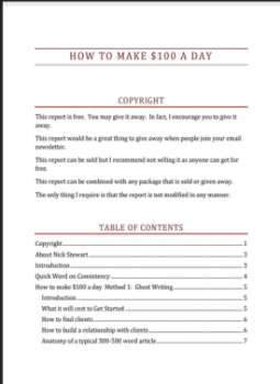 تحميل كتاب HOW TO MAKE $100 A DAY PDF للمؤلف NICK STEWART مجانا