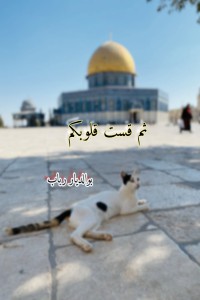 تحميل كتاب ثم قست قلوبكم PDF بوالديار رباب مجانا