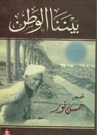 تحميل كتاب بيننا الوطن PDF حسن نور مجانا