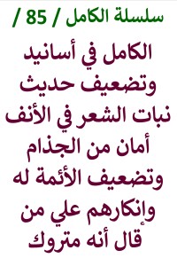 تحميل كتاب الكامل في اسانيد وتضعيف حديث نبات الشعر في الأنف أمان من الجذام PDF عامر الحسيني مجانا