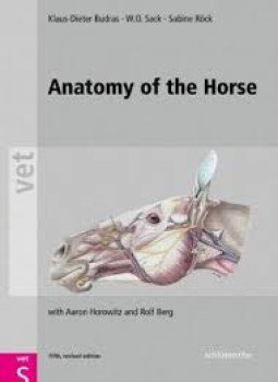 تحميل كتاب ANATOMY OF THE HORSE 5TH ED PDF مجانا