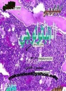 باثولوجيا الأنسجة