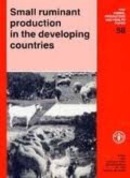 تحميل كتاب PRODUCTION AND HEALTH IN DEVELOPING COUNTRIES PDF مجانا