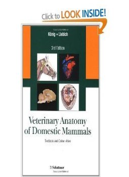 تحميل كتاب VETERINARY ANATOMY OF DOMESTIC MAMMALS TEXTBOOK AND COLOR ATLAS PDF مجانا