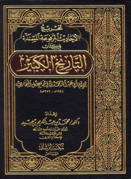 تحميل كتاب تخريج الأحاديث المرفوعة المسندة في كتاب التاريخ الكبير PDF مجانا